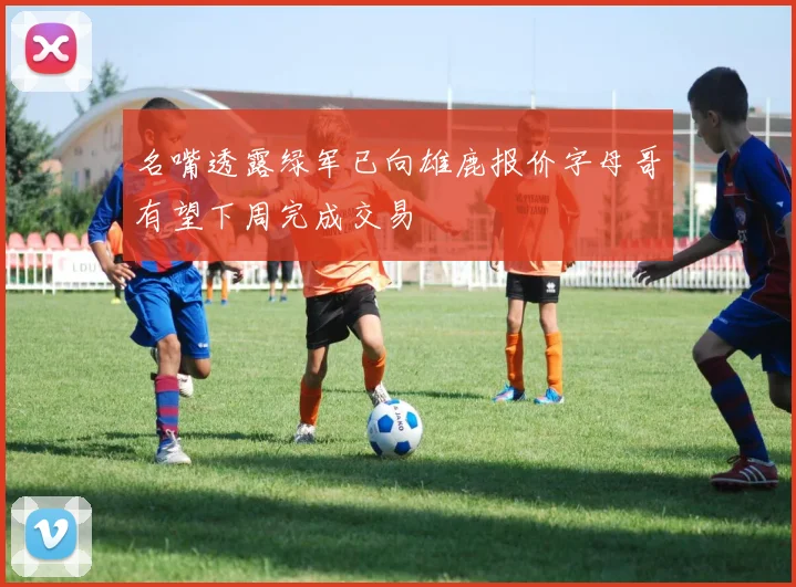 名嘴透露绿军已向雄鹿报价字母哥有望下周完成交易
