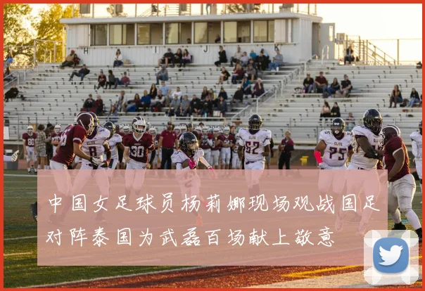 中国女足球员杨莉娜现场观战国足对阵泰国为武磊百场献上敬意